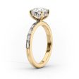 The Jennifer Set With A 2.5 Carat Elongated Cushion Lab Diamond For Discount